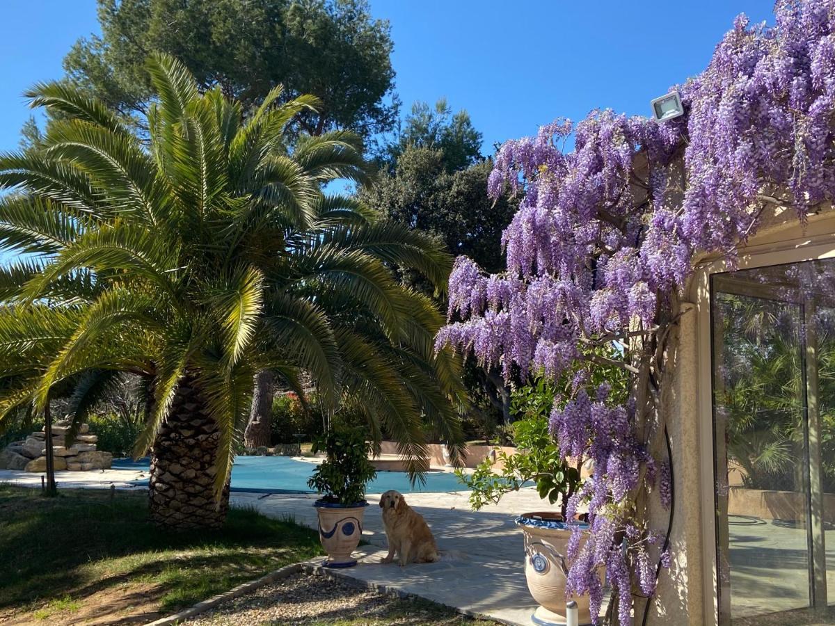 Santolines En Provence Bed & Breakfast Piolenc Exterior photo
